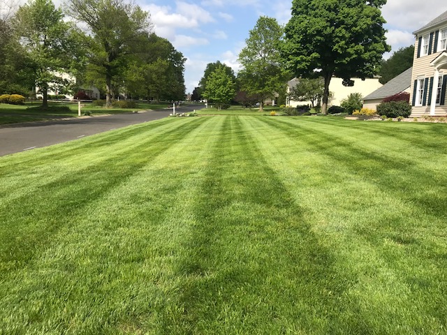 Lawn Care